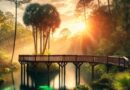 Top-10-Hidden-Gems-to-Visit-in-Ocala-National-Forest-Florida